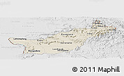 Shaded Relief Panoramic Map of Saravane, lighten, desaturated