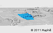Political Panoramic Map of Vapy, lighten, desaturated