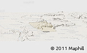 Shaded Relief Panoramic Map of Vapy, lighten