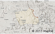 Shaded Relief 3D Map of Nong, semi-desaturated