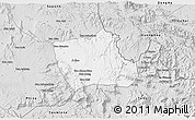 Silver Style 3D Map of Nong