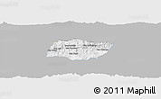 Gray Panoramic Map of Ngeune, single color outside