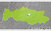 Physical Map of Aluksnes, desaturated