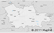 Silver Style 3D Map of Cesu