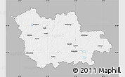 Gray Map of Cesu, single color outside