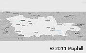 Gray Panoramic Map of Cesu