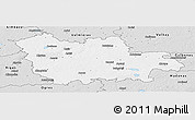 Silver Style Panoramic Map of Cesu
