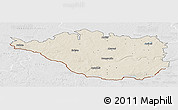 Shaded Relief Panoramic Map of Daugavpils, lighten, desaturated