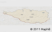 Shaded Relief Panoramic Map of Daugavpils, lighten, semi-desaturated