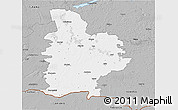Gray 3D Map of Jelgavas