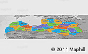 Political Panoramic Map of Latvia, desaturated