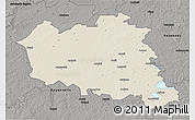 Shaded Relief 3D Map of Preilu, darken, semi-desaturated