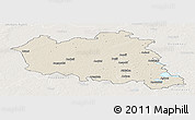 Shaded Relief Panoramic Map of Preilu, lighten