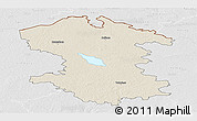 Shaded Relief Panoramic Map of Valmieras, lighten, desaturated