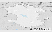 Silver Style Panoramic Map of Valmieras