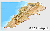 Satellite Panoramic Map of Lebanon, single color outside, bathymetry sea