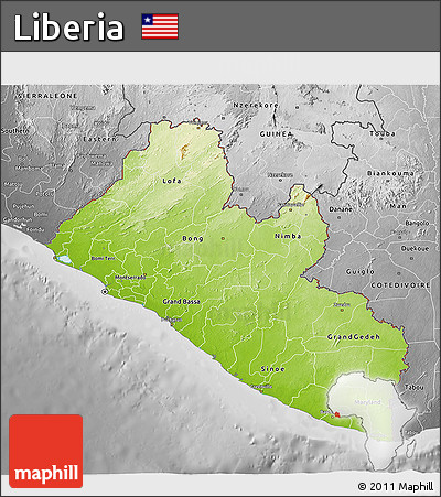 Physical 3D Map of Liberia, desaturated