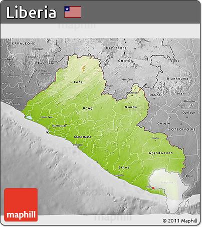 Physical 3D Map of Liberia, desaturated