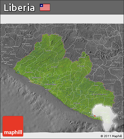 Satellite 3D Map of Liberia, desaturated