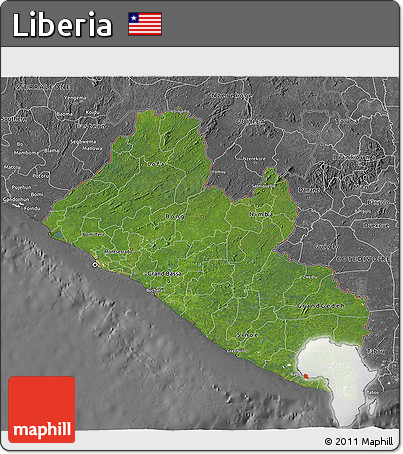 Satellite 3D Map of Liberia, desaturated