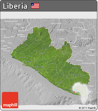 Satellite 3D Map of Liberia, lighten, desaturated