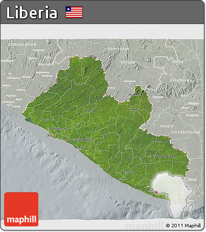 Satellite 3D Map of Liberia, lighten, semi-desaturated