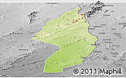 Physical Panoramic Map of Zorzor, desaturated