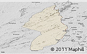 Shaded Relief Panoramic Map of Zorzor, desaturated