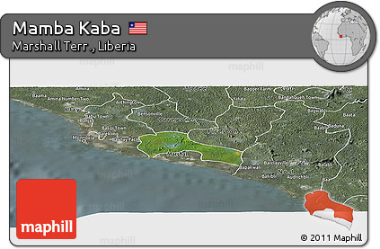 Satellite Panoramic Map of Mamba Kaba, semi-desaturated