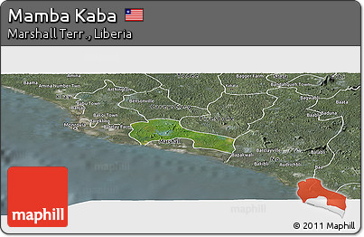 Satellite Panoramic Map of Mamba Kaba, semi-desaturated