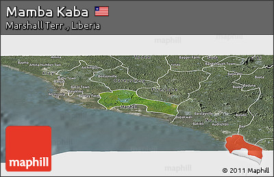Satellite Panoramic Map of Mamba Kaba, semi-desaturated