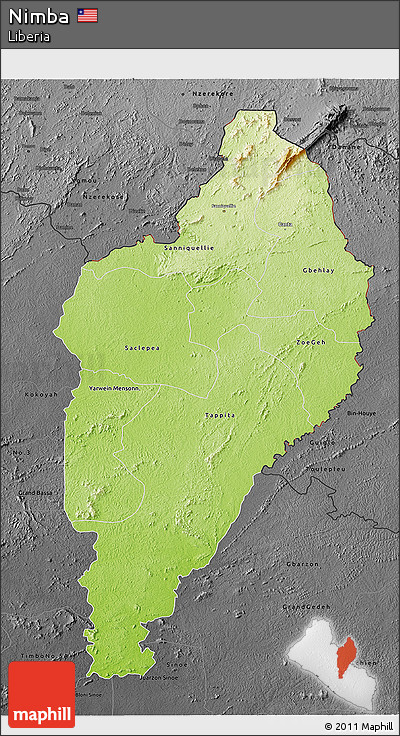 Physical 3D Map of Nimba, darken, desaturated