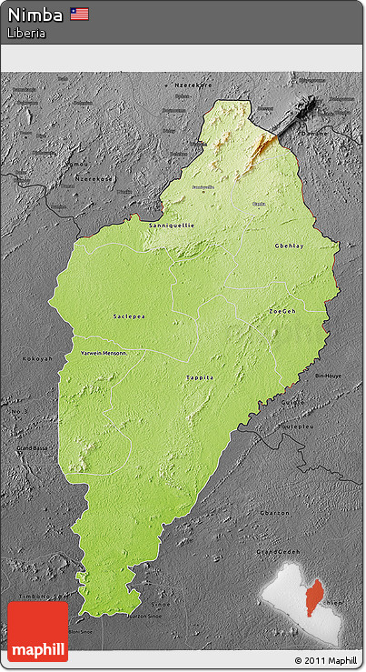 Physical 3D Map of Nimba, darken, desaturated