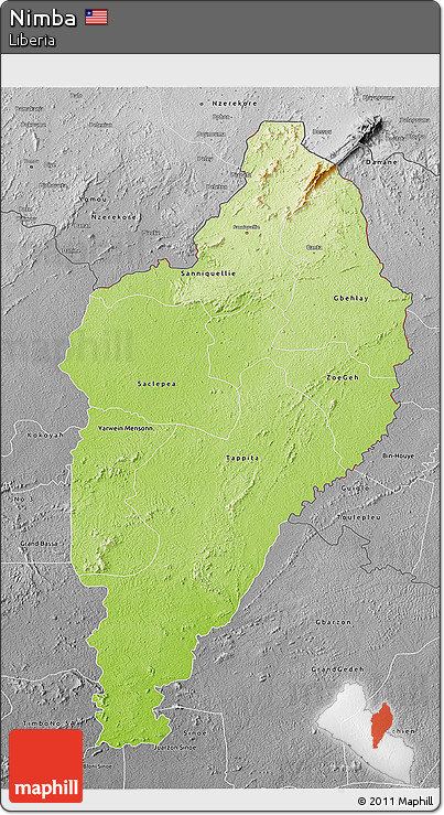 Physical 3D Map of Nimba, desaturated