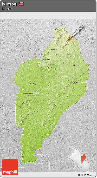 Physical 3D Map of Nimba, lighten, desaturated