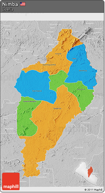 Political 3D Map of Nimba, lighten, desaturated