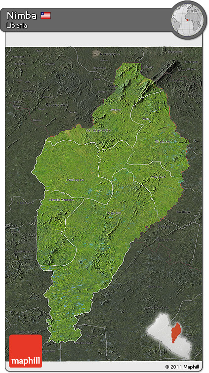 Satellite 3D Map of Nimba, darken, semi-desaturated