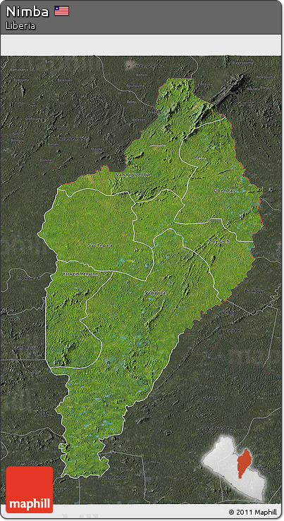 Satellite 3D Map of Nimba, darken, semi-desaturated