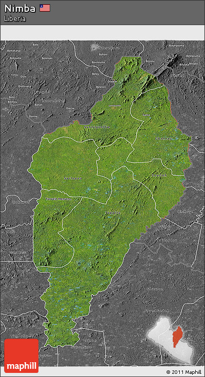 Satellite 3D Map of Nimba, desaturated