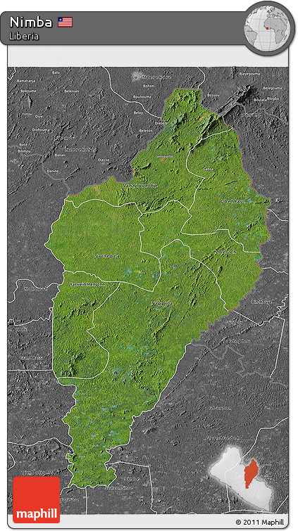 Satellite 3D Map of Nimba, desaturated