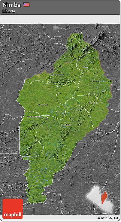 Satellite 3D Map of Nimba, desaturated