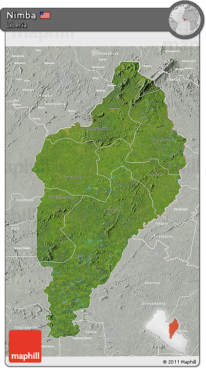 Satellite 3D Map of Nimba, lighten, semi-desaturated