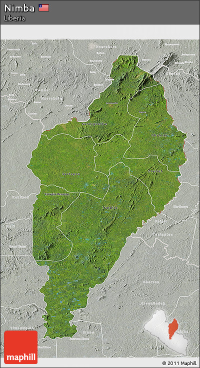Satellite 3D Map of Nimba, lighten, semi-desaturated