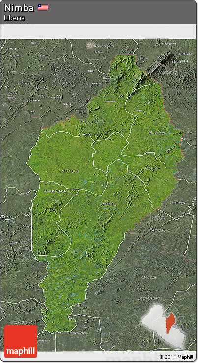 Satellite 3D Map of Nimba, semi-desaturated