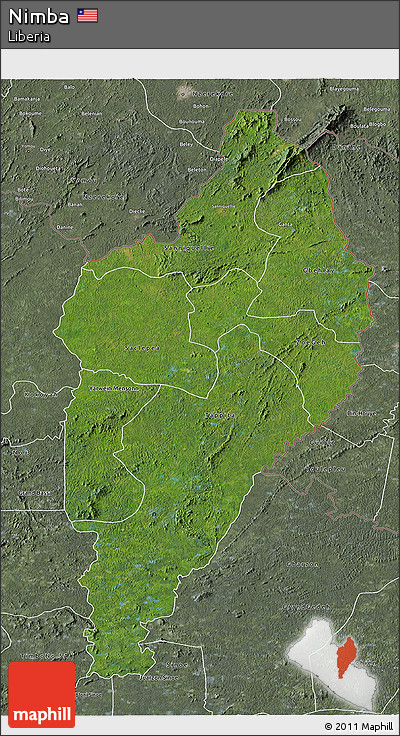 Satellite 3D Map of Nimba, semi-desaturated