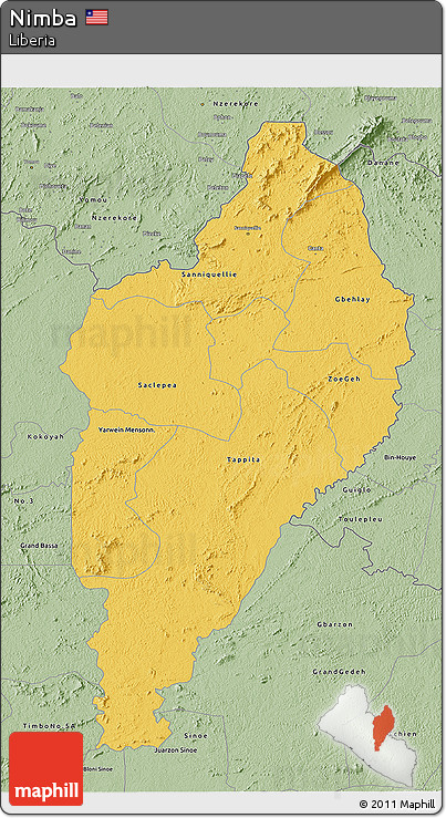 Savanna Style 3D Map of Nimba