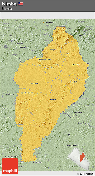 Savanna Style 3D Map of Nimba