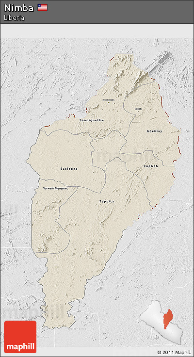 Shaded Relief 3D Map of Nimba, lighten, desaturated