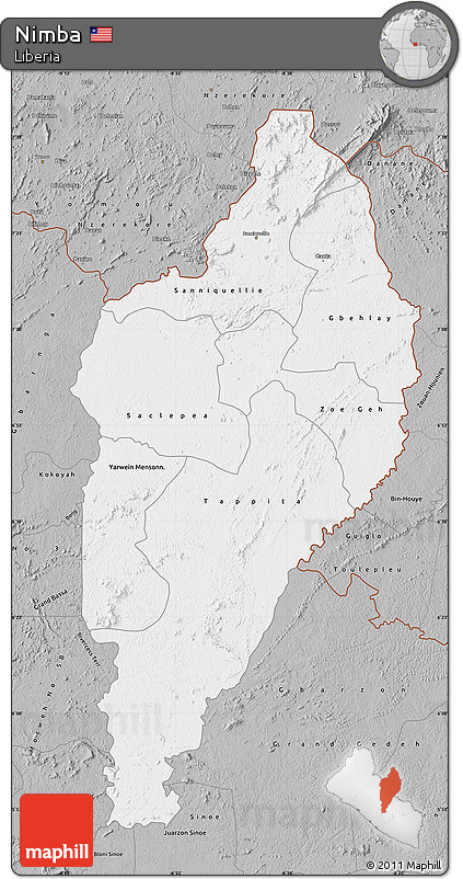 Gray Map of Nimba