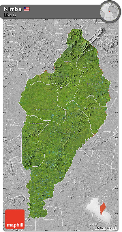 Satellite Map of Nimba, lighten, desaturated